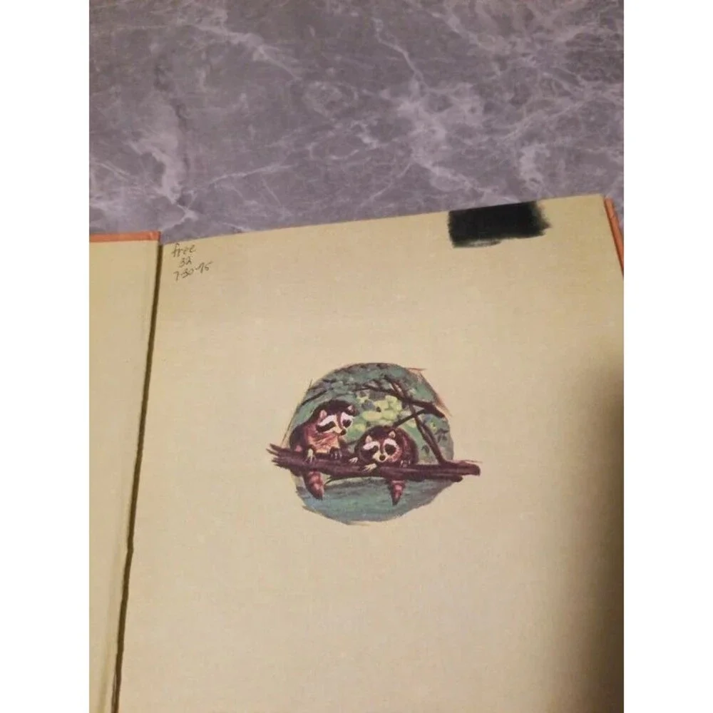 Bundle of vintage children's books